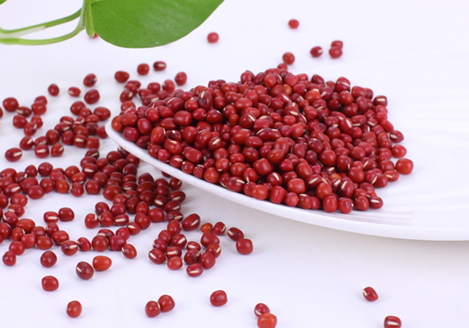 赤豆- 热门商品专区