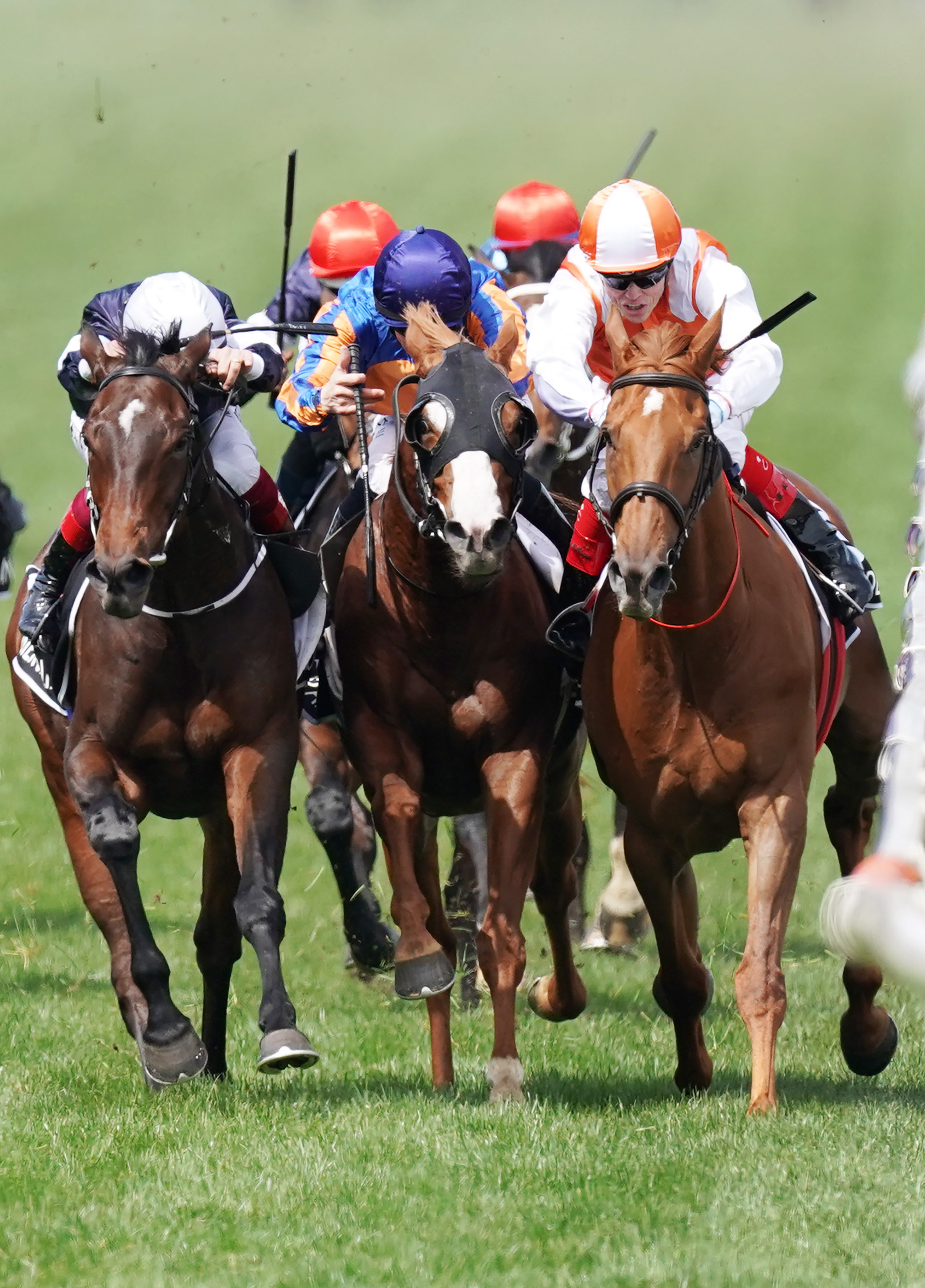 赛马——墨尔本杯:澳大利亚骑手夺冠(3)