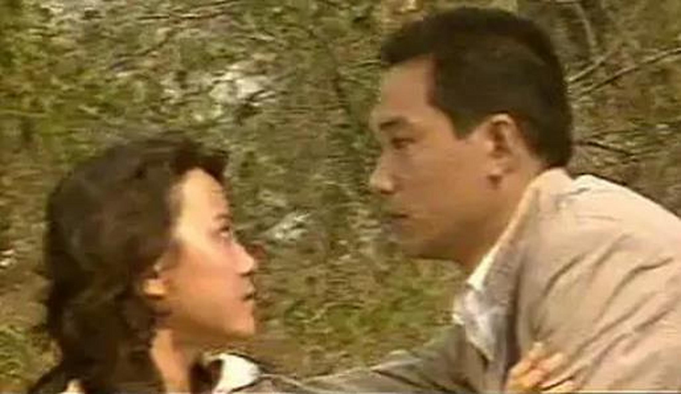 知青电视剧《雪城》倪萍金鑫黄梅莹主演,刘欢唱的主题曲流传至今