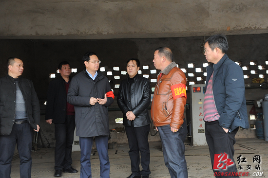 东安:县领导深入芦洪市镇检查指导安全生产工作
