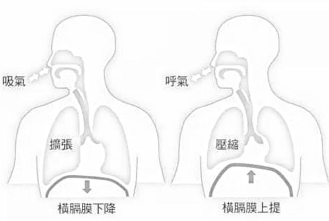 唱歌的基础技巧