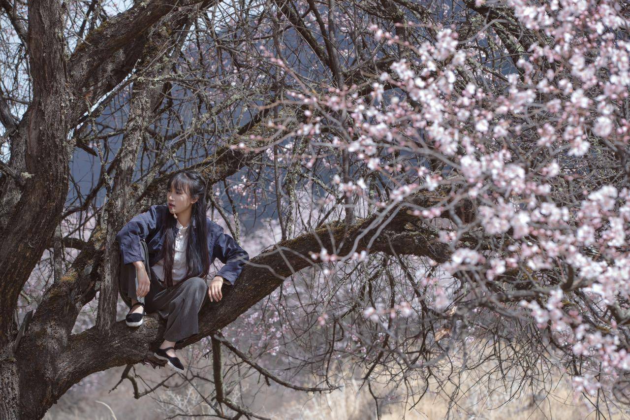 李子柒巧制螺蛳粉,传承山林美味,将北川岁月过出富足味