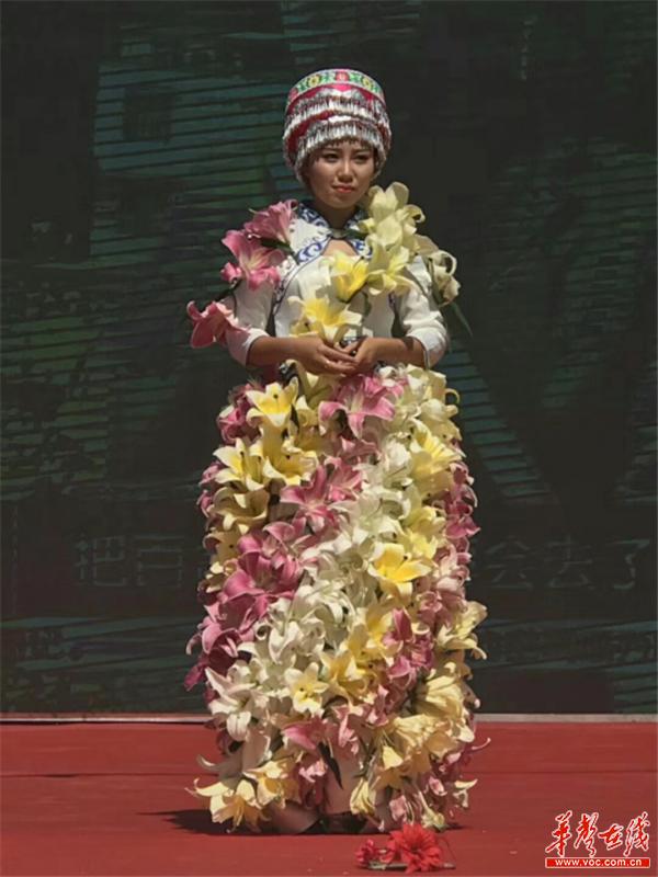 青年创客余小龙:从"百合大王"到致富带头人