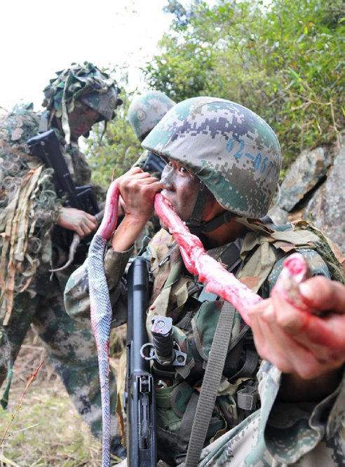 直击特种兵野外训练,山野生存竟都靠吃这些,正常人根本难以体会