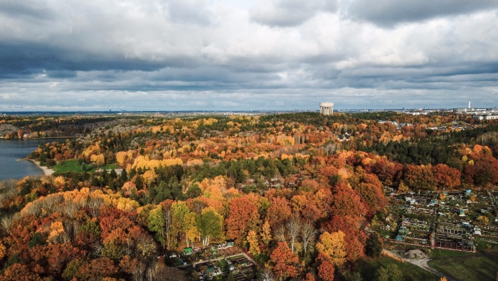 中小家电厂商:忽略市场大环境,抓好眼前小生意!-家电圈官网