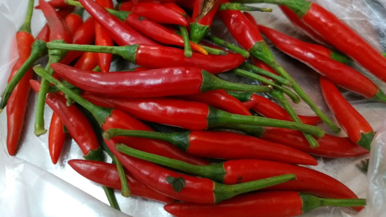 正宗的桂林辣椒酱,是这样做出来的,你学到了吗