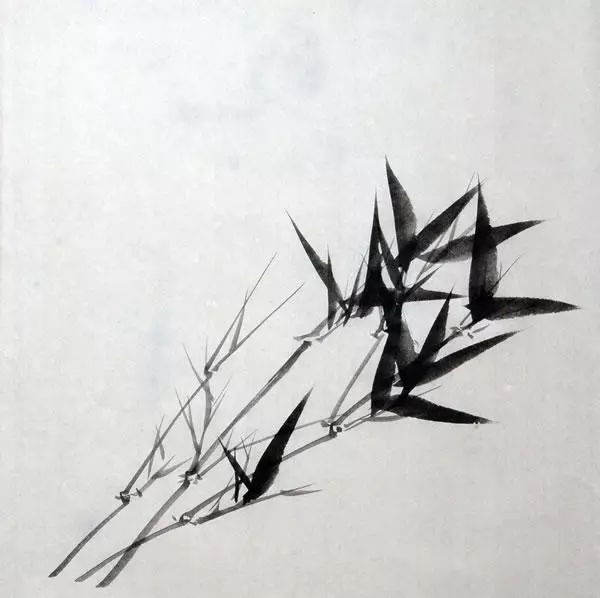 水墨竹画法,最接地气的画竹教程!