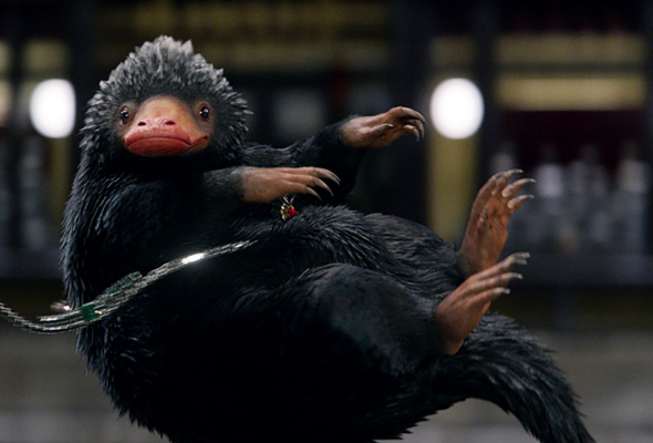 神奇动物在哪里,一部带着魔法情怀的影片