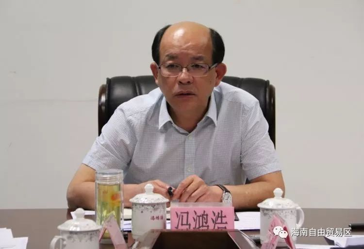 2019年海南自贸区建设项目计划和重点工作,冯鸿浩主持召开专题会议