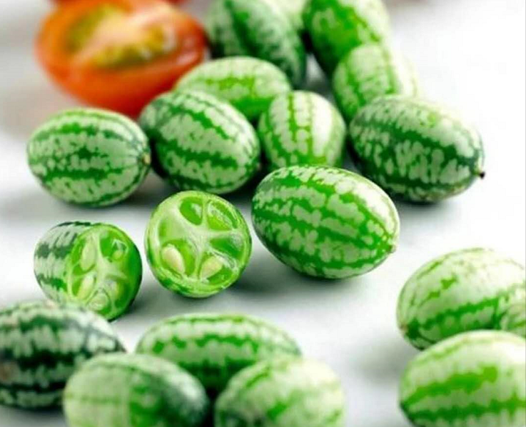 世界上最小的西瓜是啥味道?切开后,瓜瓤是绿色的