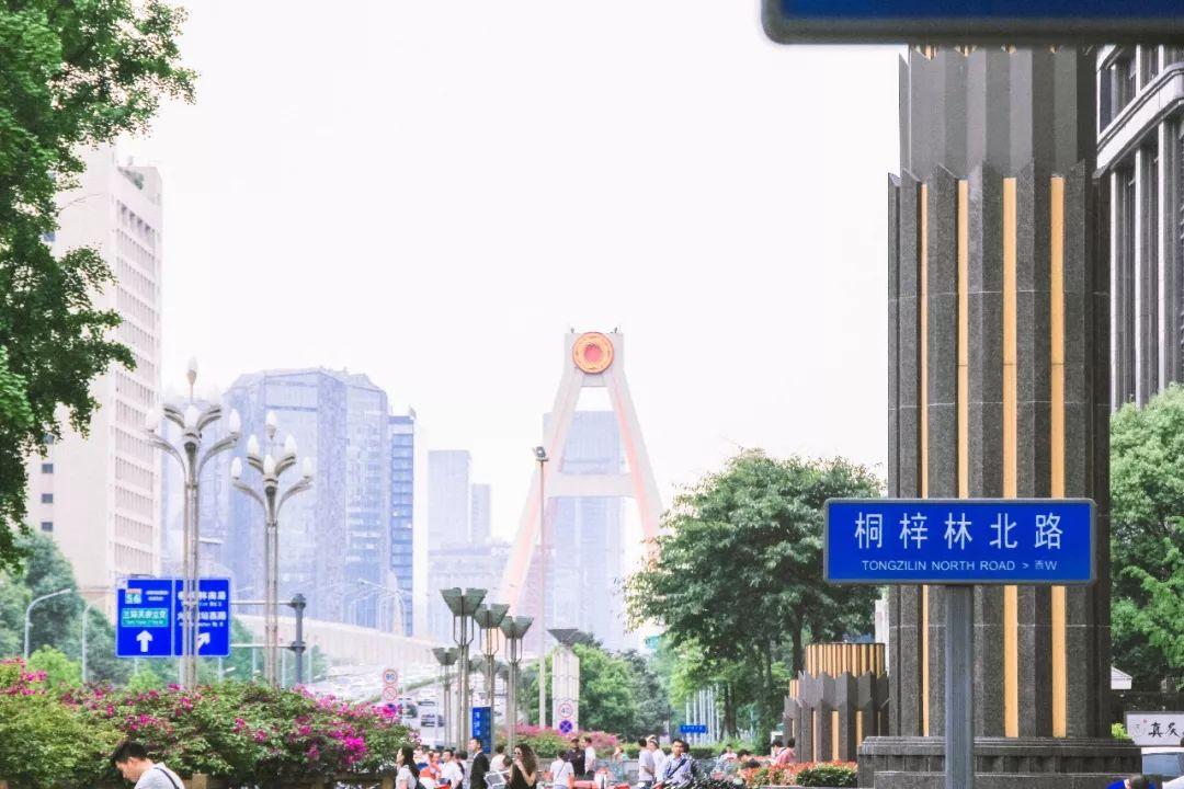 午后从一杯咖啡开始,在桐梓林感受成都的诗意与洋气