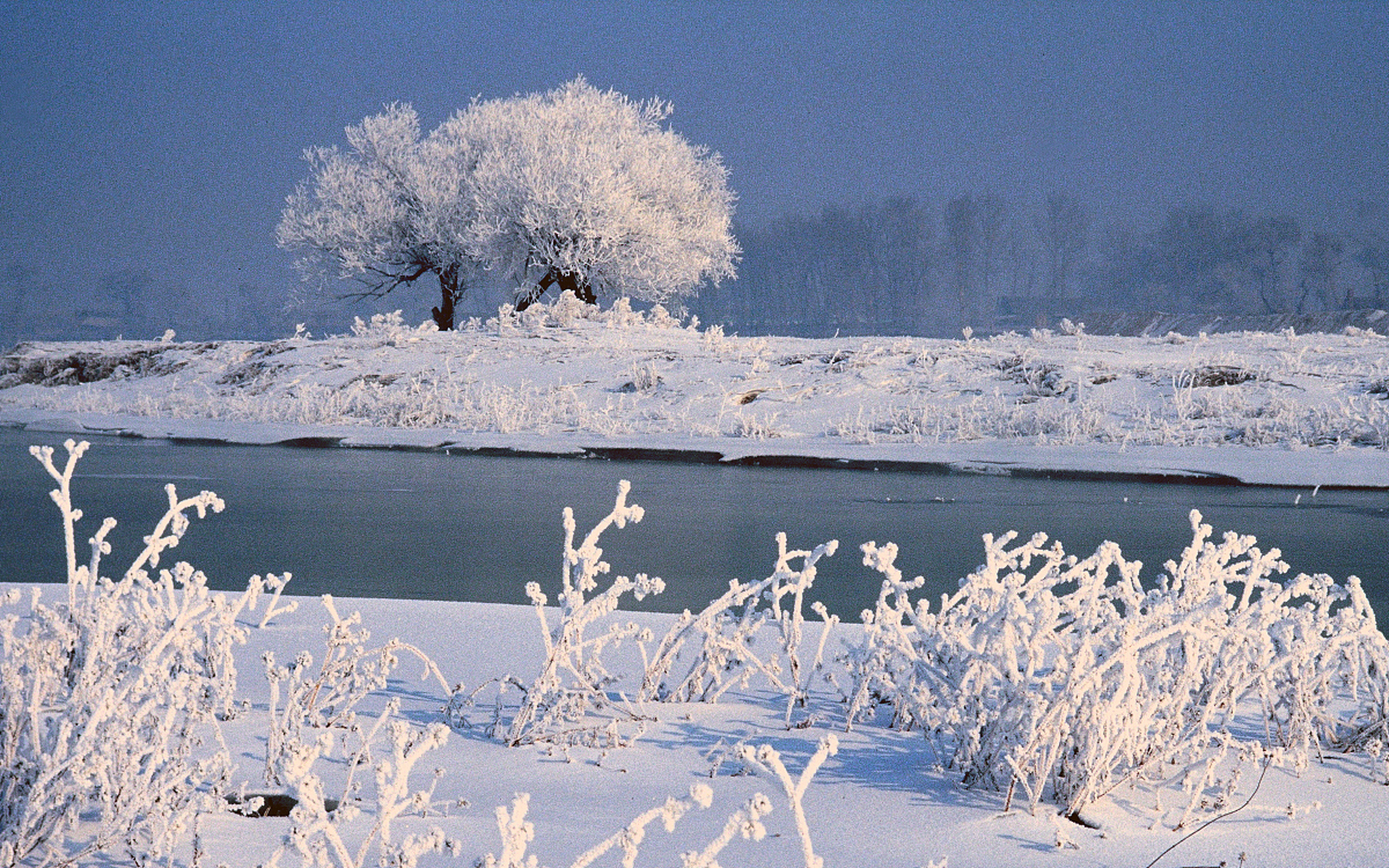 那些冬天才有的美景# 雪后的大地银装素裹,雪景如画,令人陶醉!