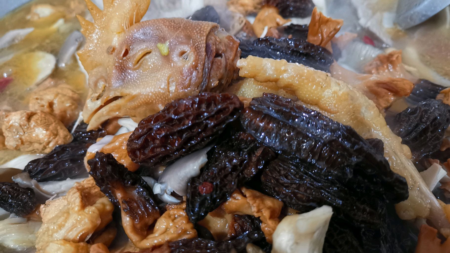 知道啥叫正宗的小鸡炖蘑菇不?仙子带你走进蘑菇园,尽情流口水