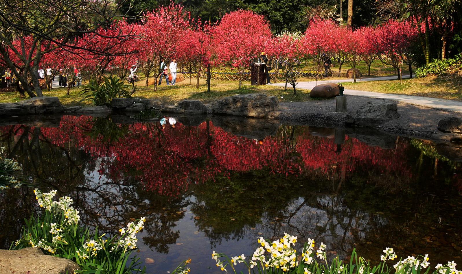 盘点风景漂亮的旅游休闲场所,从你所熟知的六安大别山,连云港桃花涧谈