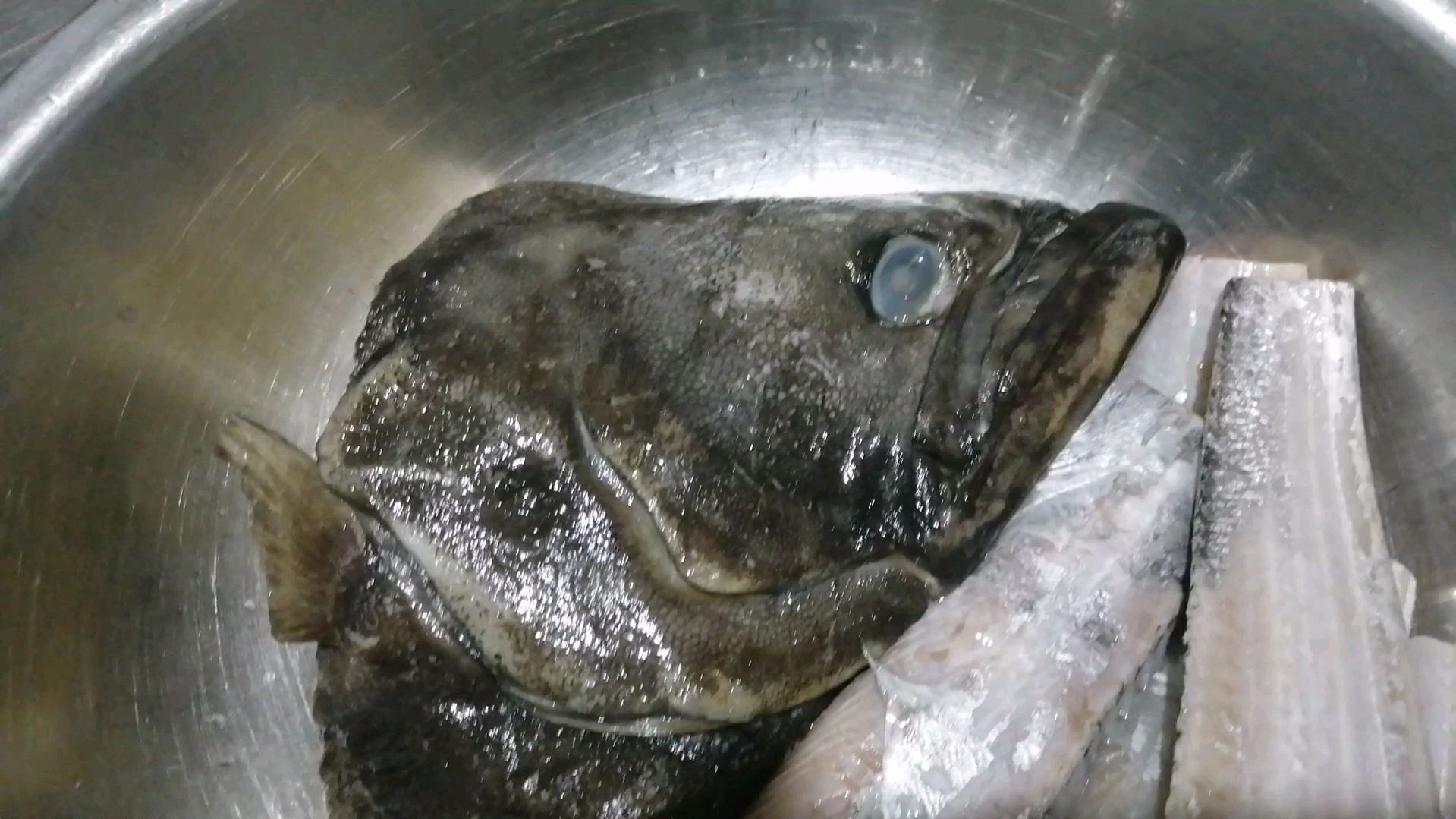 客人自带两种鱼,要求放在一起做红烧鱼,看看酒店大厨做得怎么样