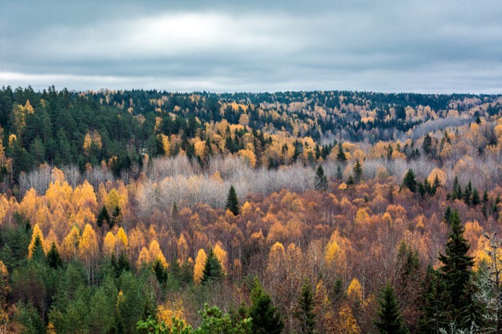 森林和湖泊的国家公园,芬兰的著名景点