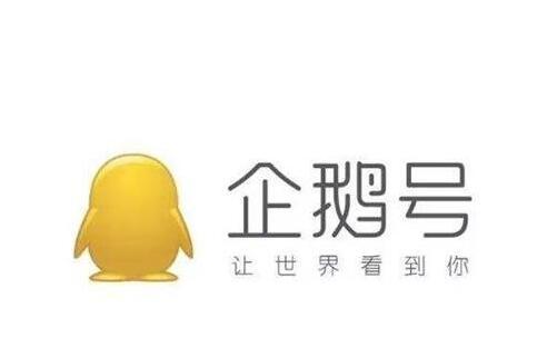 头条号包括哪些(头条包括哪些平台类型)