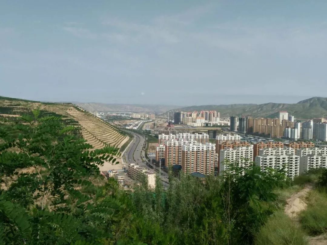 独行会宁西岩山:醉美小草原