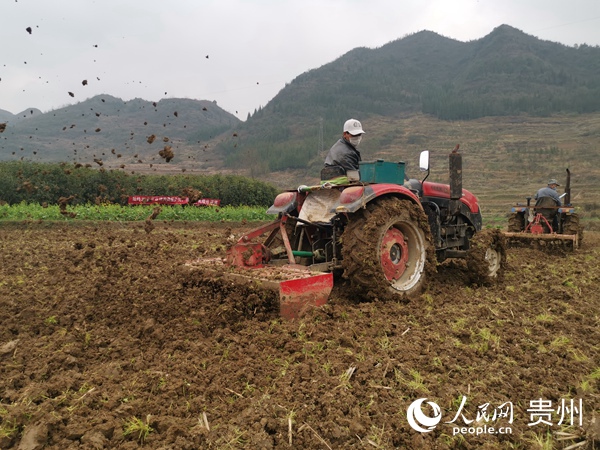 修文县久长镇:抢抓春耕备耕时机 推进产业结构调整