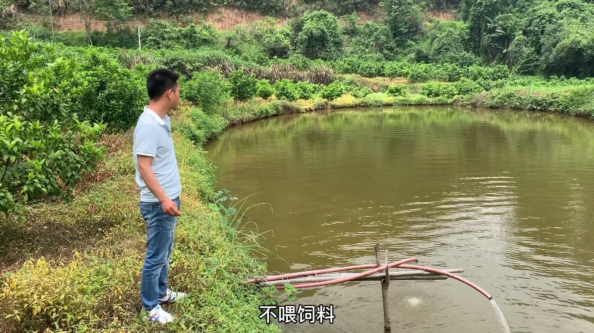 老表深山养泉水鱼,一年狂赚几十万,还在继续扩建