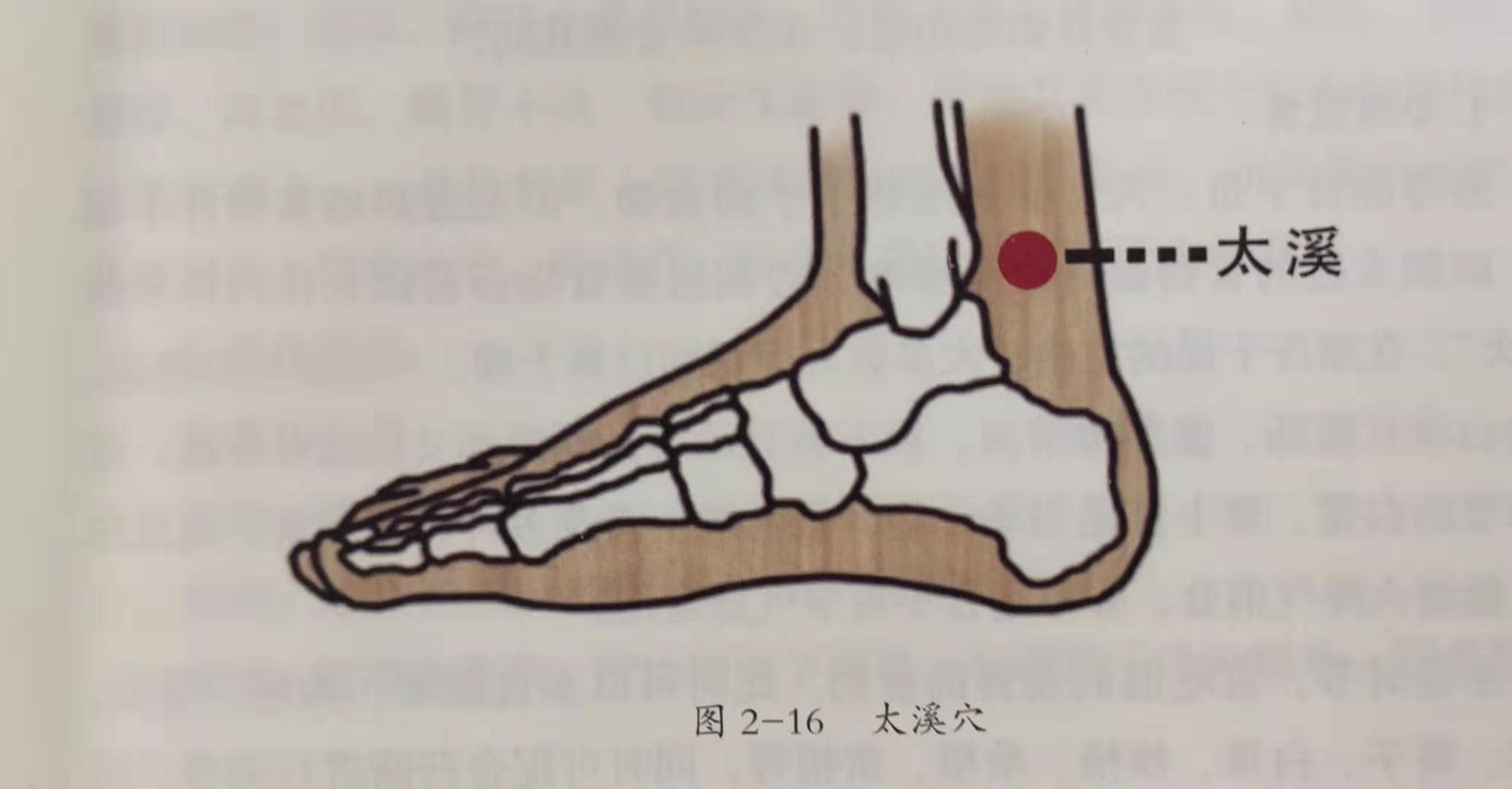 每天学点养生:太溪穴的按摩方法