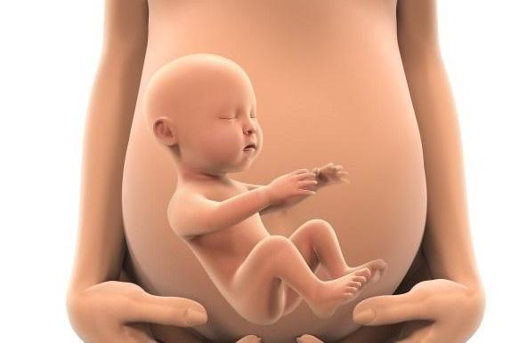 胎盘后壁和前壁有什么不一样?在生产时会不会有影响?