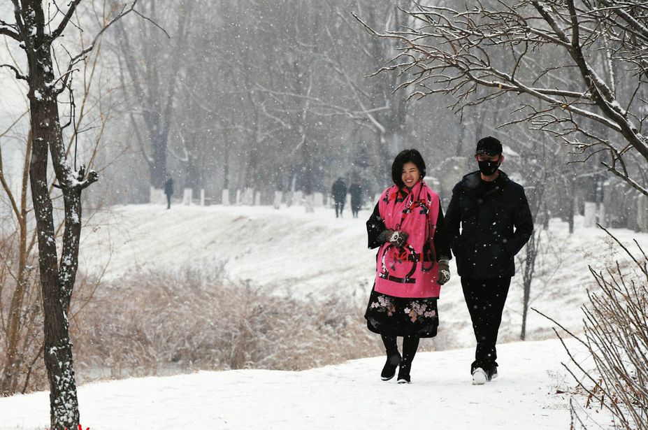 雪中漫步白头图片图片