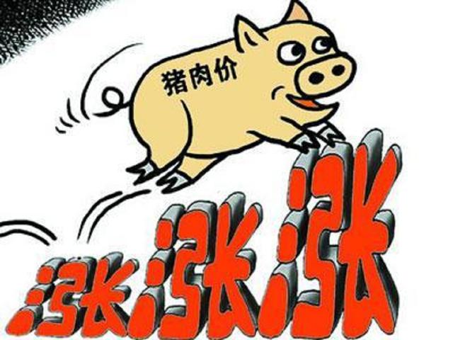 18年猪价持续下降,大量卖猪储备是否合适?养殖户该注意什么?