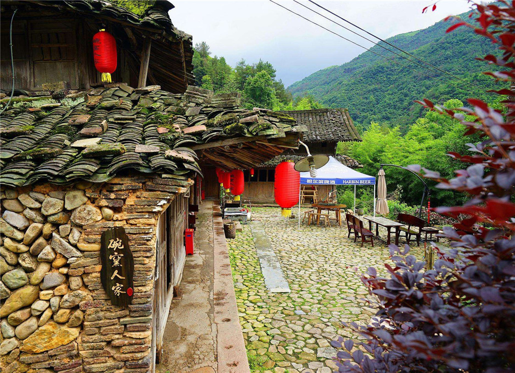 这座神秘古村落在浙江与福建的交界处,当地仙人掌居然高达5米