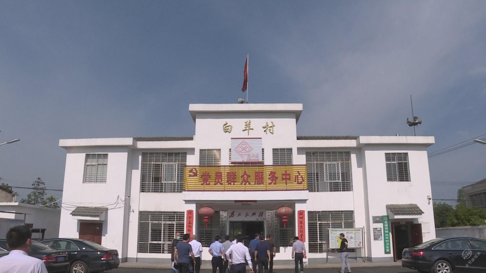 赤壁市长董方平调研官塘驿镇白羊村脱贫攻坚工作