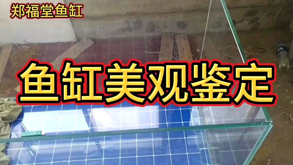 鱼缸的胶清理干净,这样的鱼缸是不是很美观