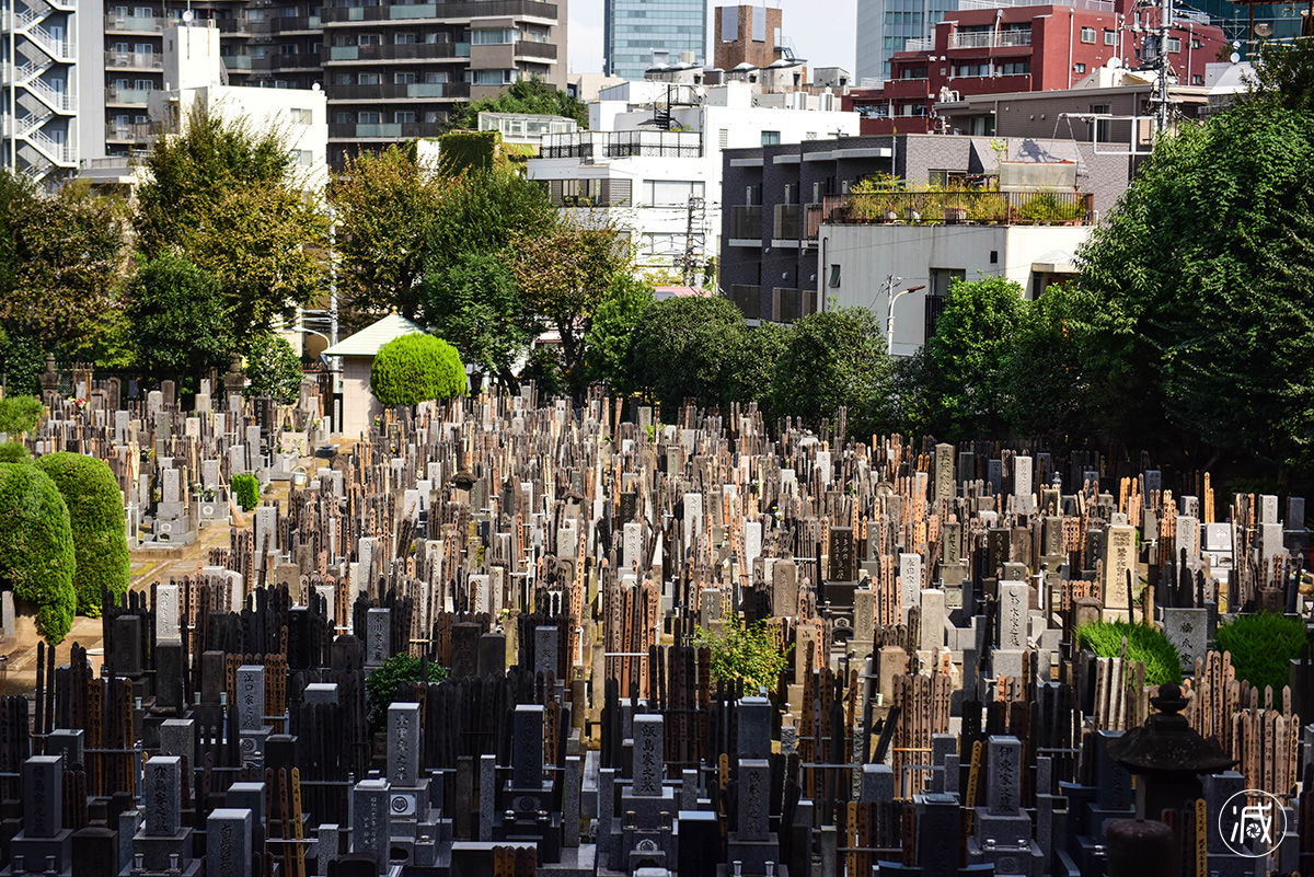 据了解,日本的墓地多建在庙堂的后面,这也是深受佛教文化的影响,自六