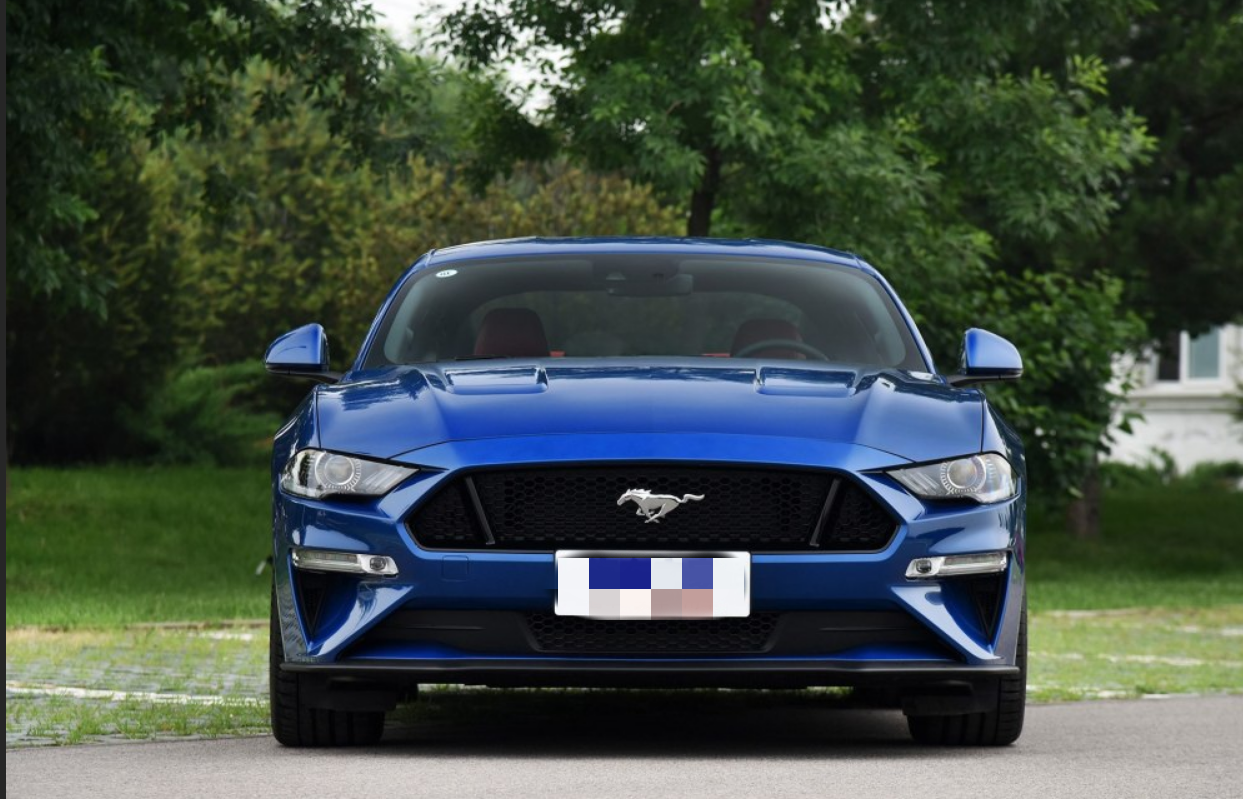 野马奔腾的感觉啊