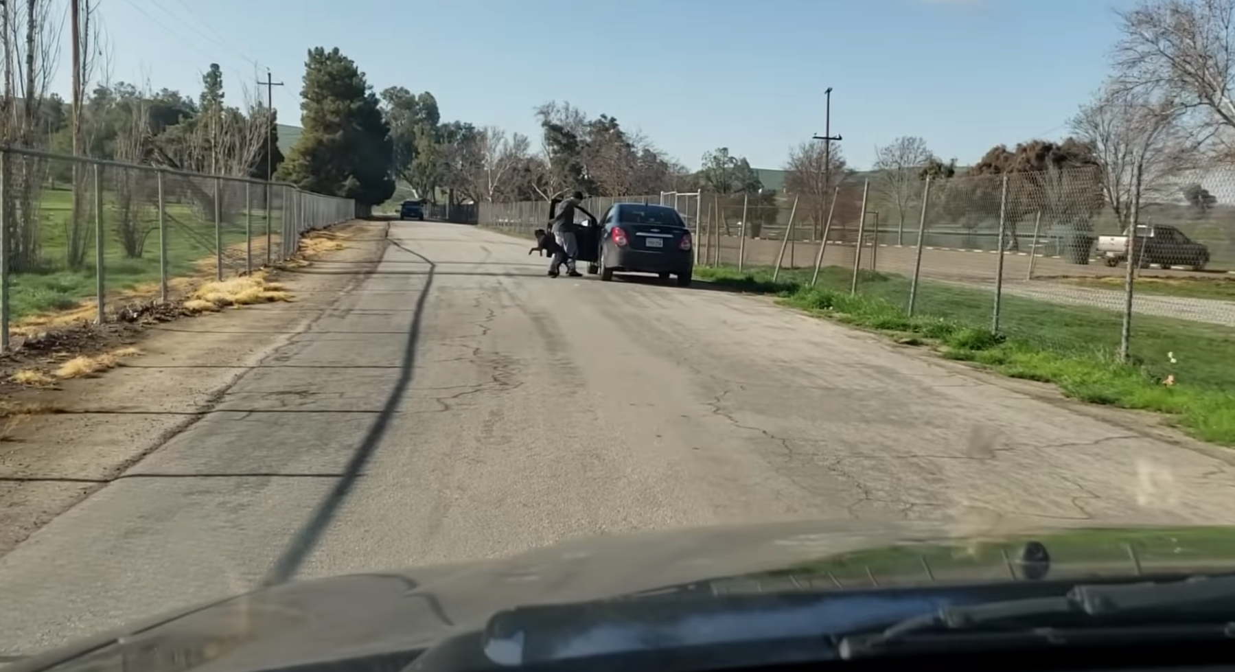 不知名的男子把黑汪载到湖边的马路,竟然把狗狗踢下车!