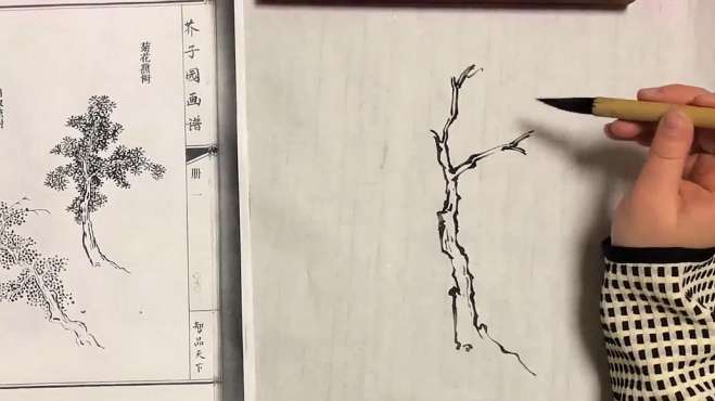 [图]水墨画画画：今日与大家分享《芥子园画谱》的胡椒点树和菊花点树