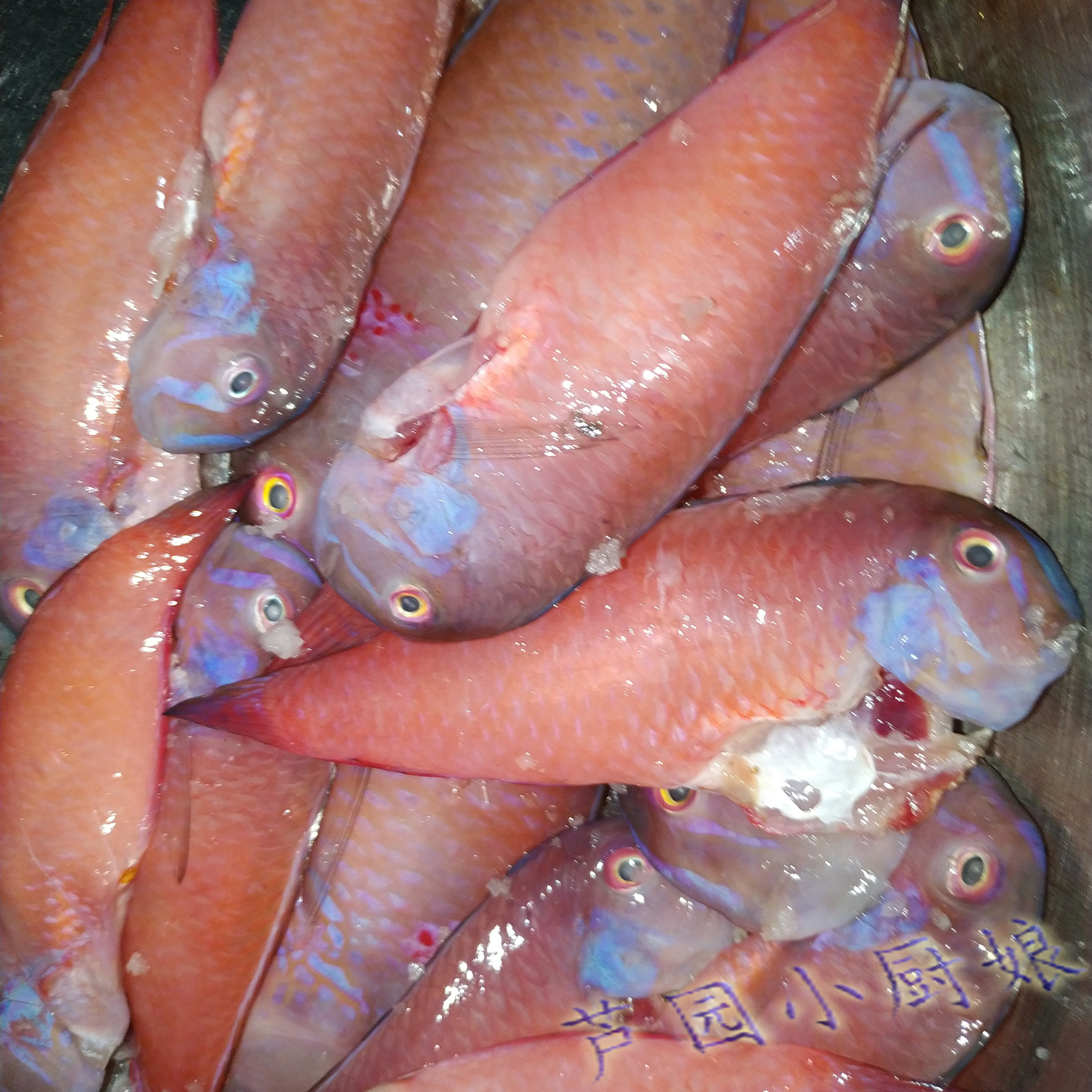 香煎红心仔,鱼鳞都不能放过的美味!