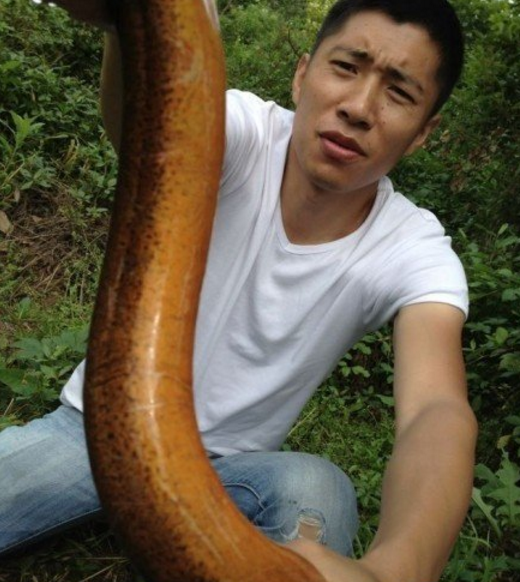 农民逮到了一条通体通红的巨型大黄鳝精,就差开口说话