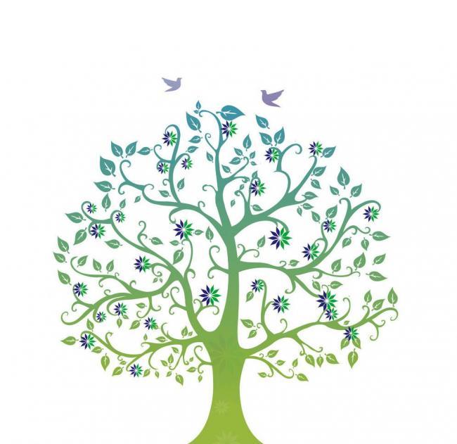 高龙撒冷岛,推荐一个冷艳的小众海岛