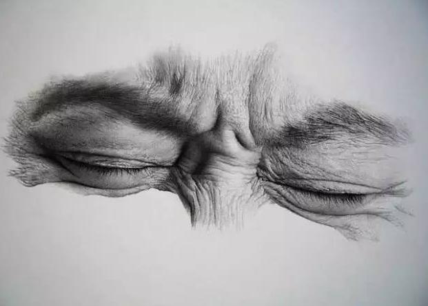 素描如何才能正确,高效的排线,答案在这里