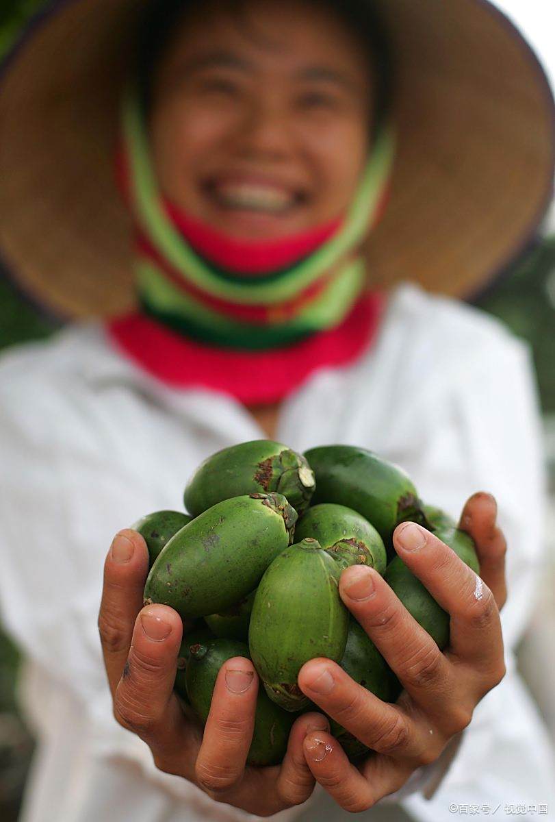 海南人为什么离不开槟榔