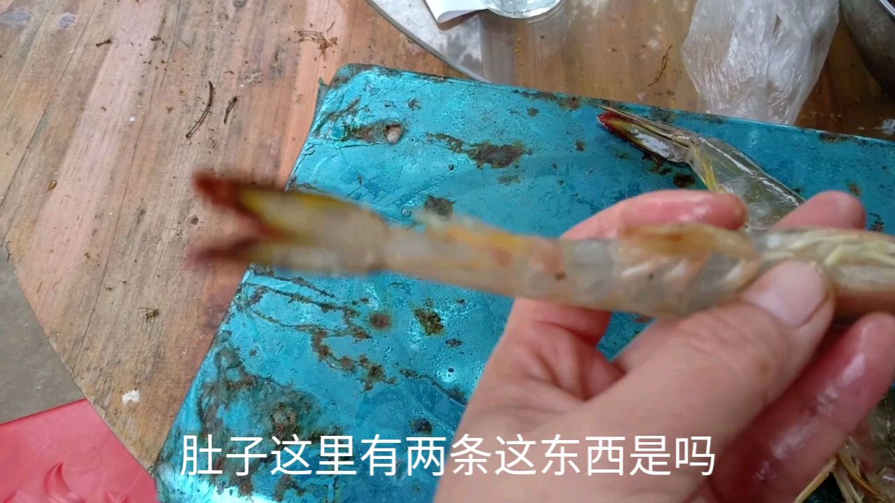 很多人都不知道母虾跟公虾的区别,小卓详细给你们解说