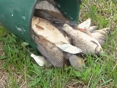 377_286gif 动态图 动图