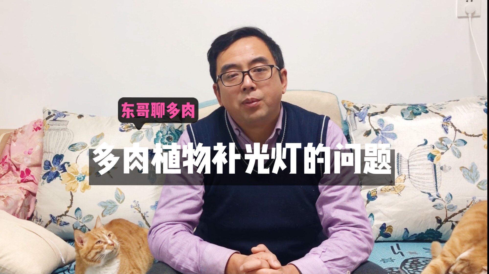 使用植物补光灯能让多肉变色吗?补光灯什么时间使用