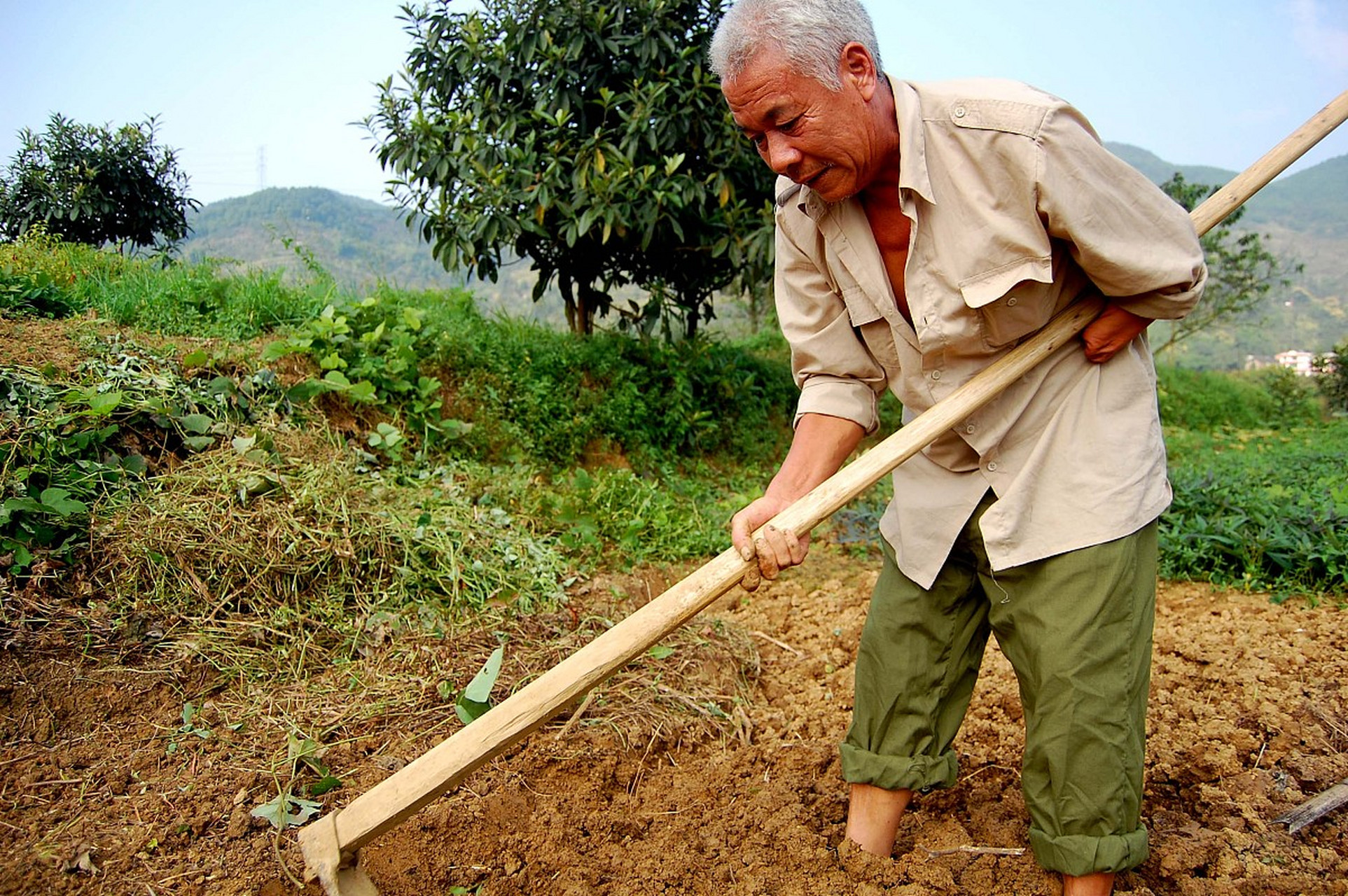 夜晚,满天的繁星和灯火阑珊的村舍让人心旷神怡