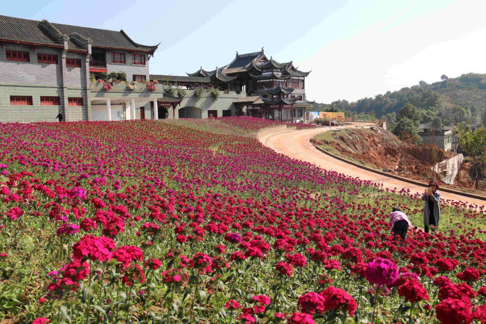 花舞人间景点照片图片