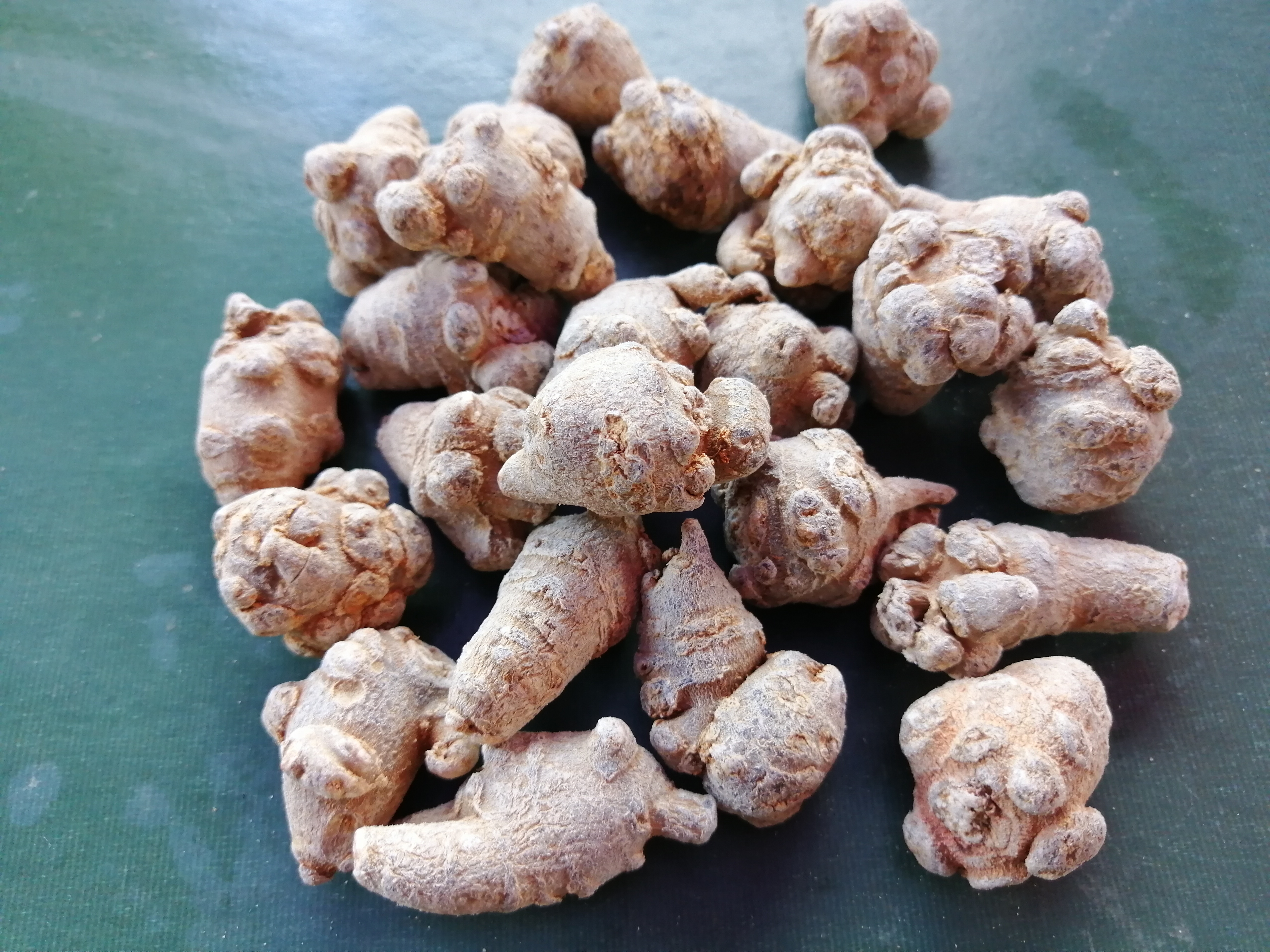 三七有几百年的应用历史,北人参南三七体现了三七功效和人参一样神奇!