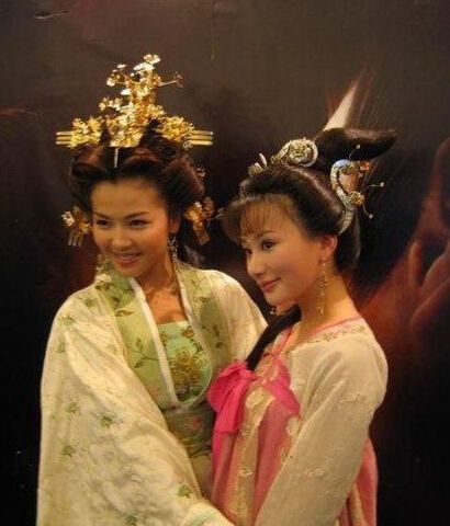 历史上的后宫姐妹花:飞燕合德,大小张妃,大小周后,瑾妃珍妃