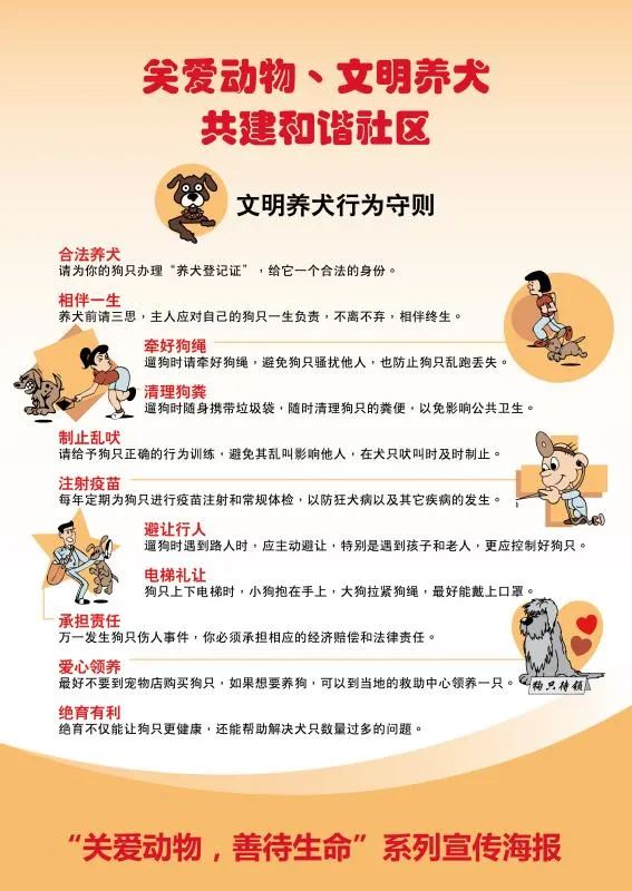 集中整治“狗患”开始了!平度市区设立4处登记点 请遵守规定文明养犬 集中整治“狗患”开始了!平度市区设立4处登记点 请遵守规定文明养犬