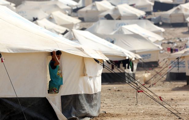 难民营里,都是到一排排的帐篷,无边无际,望不到边 .