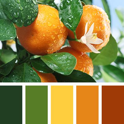 一组实物配色方案!唯美